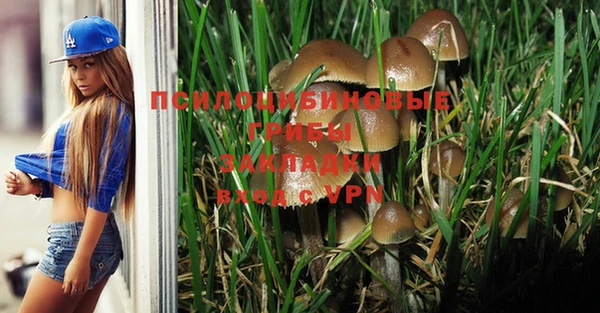 твердый Дмитров