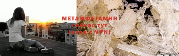прущие грибы Дмитровск