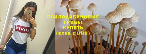 мдма Гусь-Хрустальный