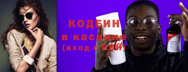 прущие грибы Дмитровск