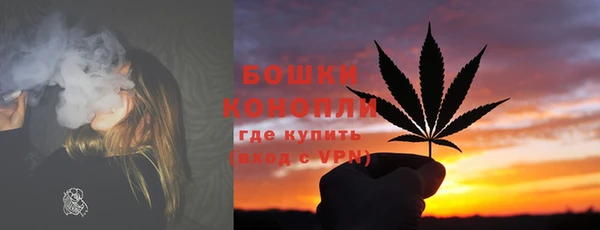 прущие грибы Дмитровск