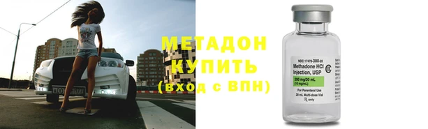 прущие грибы Дмитровск