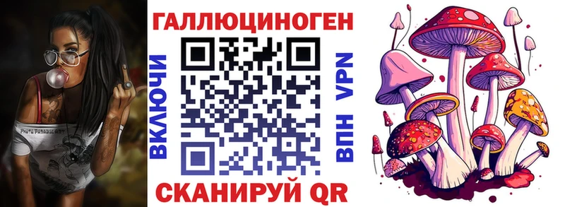 Галлюциногенные грибы Psilocybine cubensis  дарнет шоп  Балаково 